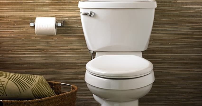 when to replace my toilet