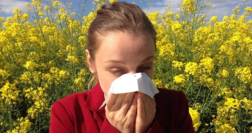 allergy relief through cleaner air