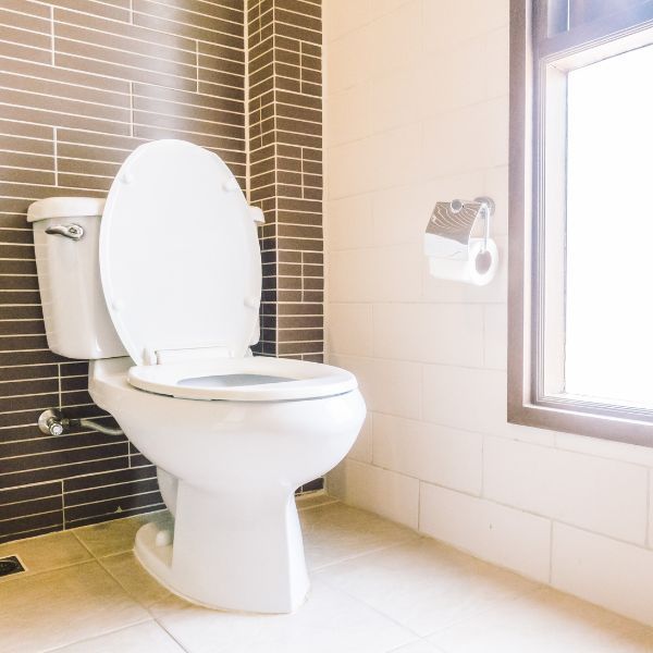 Affordable Toilet Repair Installation