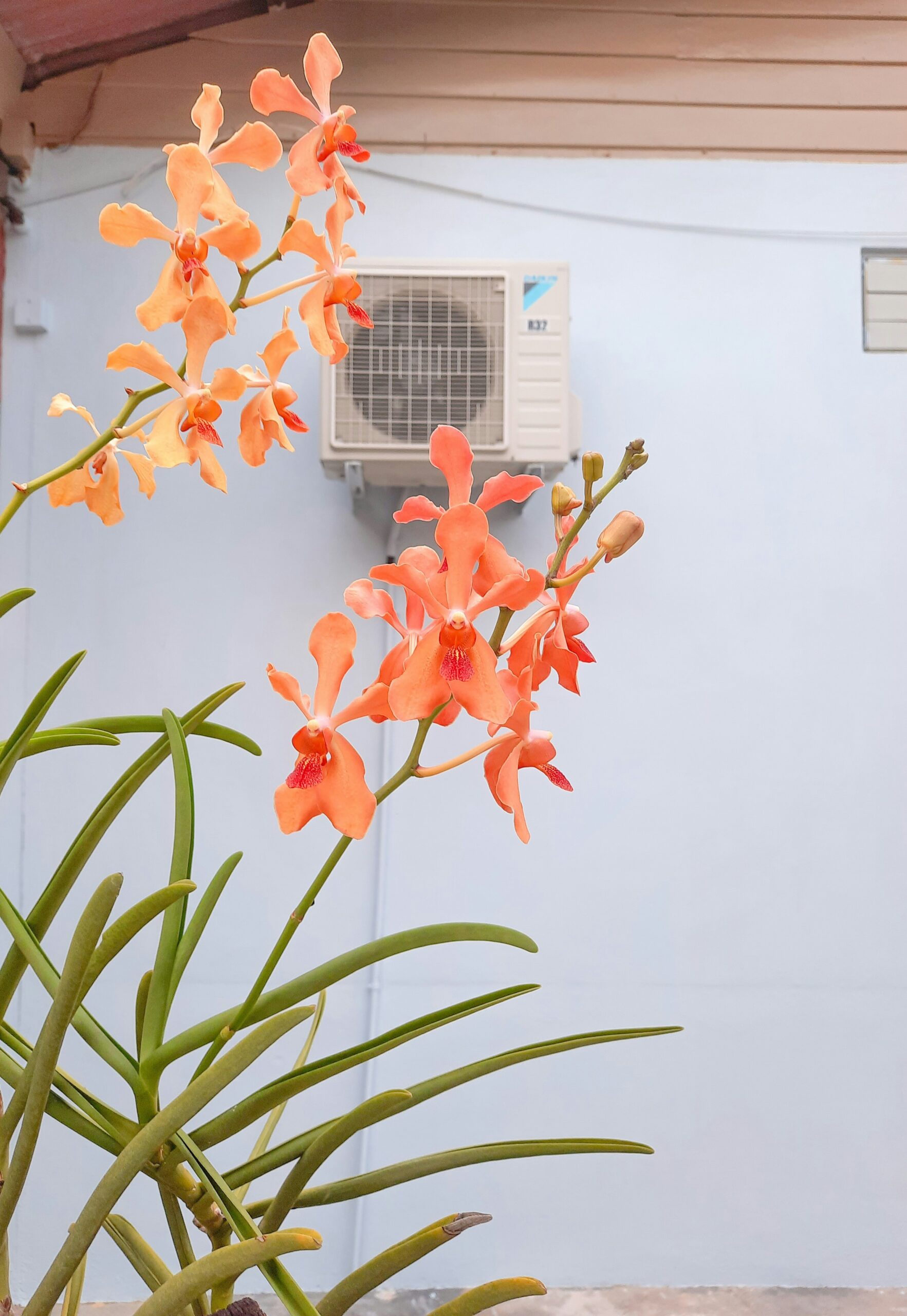 Clarke & Rush Mechanical Can Help Save You Money On your Air Conditioner Replacement