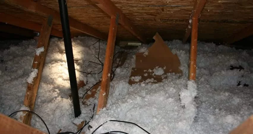blown cellulose insulation